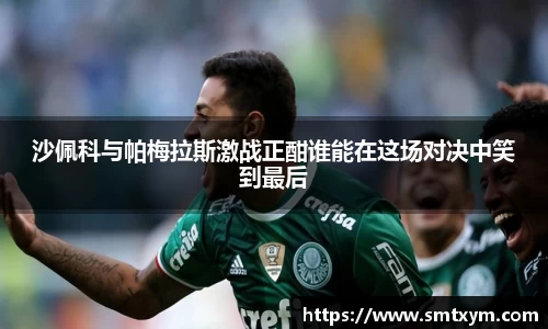 沙佩科与帕梅拉斯激战正酣谁能在这场对决中笑到最后