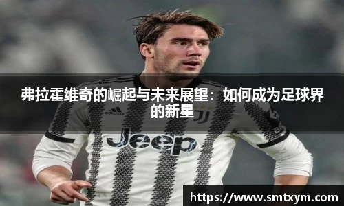 弗拉霍维奇的崛起与未来展望：如何成为足球界的新星